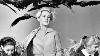 Hitchcock Anthology Series in the Works at Universal Cable Productions