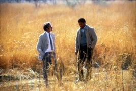 Streaming Confusion: What’s a Movie-Lover To Do?