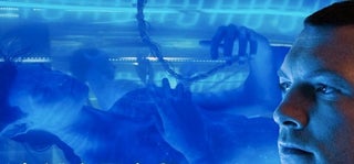 ‘Avatar’s’ True Cost — and Consequences